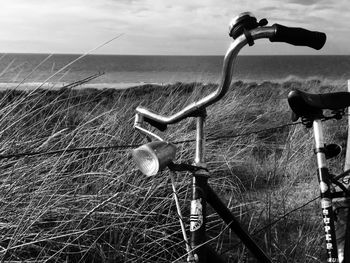 Close-up of grass by sea against sky