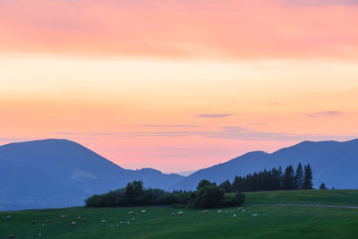 Rural landscape of turiec region at the foothills of velka fatra.