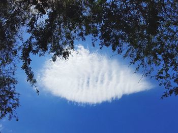 Low angle view of vapor trail against sky