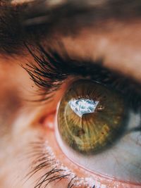 Macro shot of woman eye