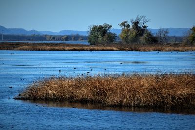 Scenic view of lake against clear blue sky