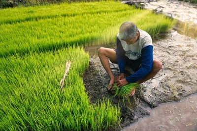 Side view of man sitting on field