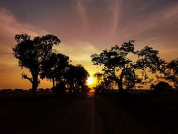 Silhouette trees by road against sky during sunset