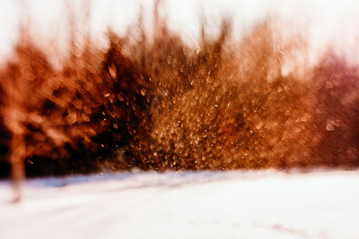 Close-up of snow covered road