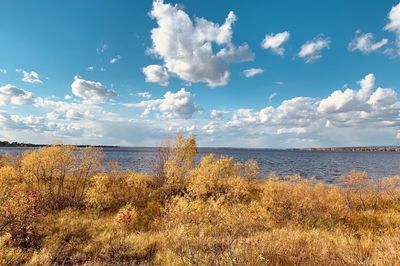 Scenic view of sea against sky