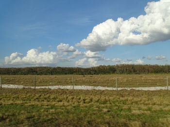 Scenic view of field against sky