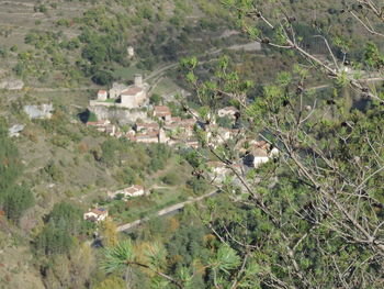 High angle view of trees and houses on field