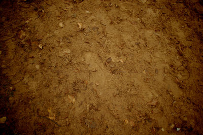 Full frame shot of tiled floor