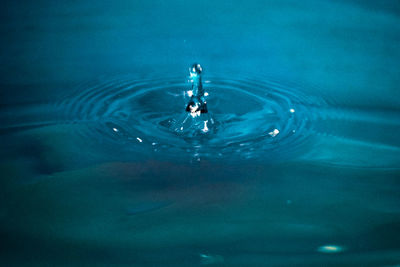 Close-up of water drop falling on surface
