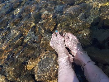 Low section of person on rock in sea