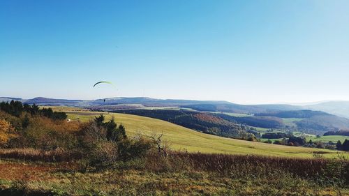 Scenic view of field against clear sky