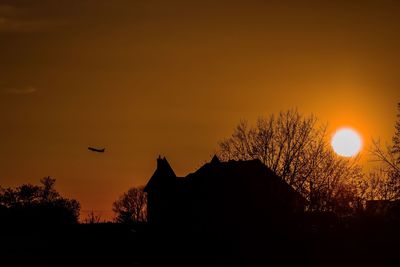 Silhouette of birds at sunset