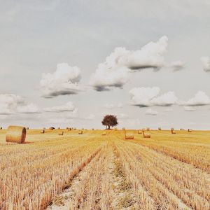 View of hay bales in field