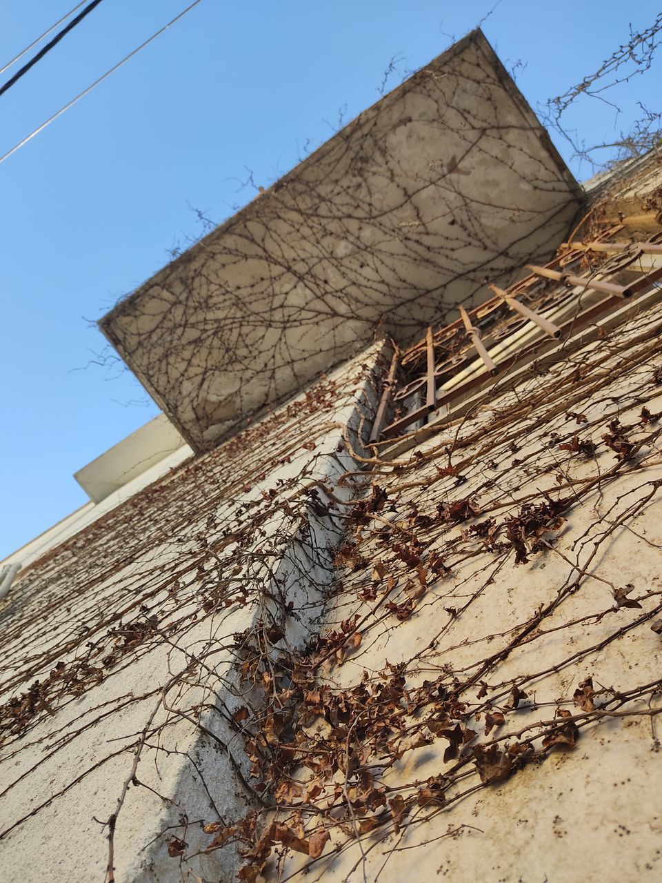 low angle view, nature, sky, architecture, no people, day, built structure, wood, outdoors, building exterior, clear sky, tree, roof, plant, blue, building, wall, sunlight