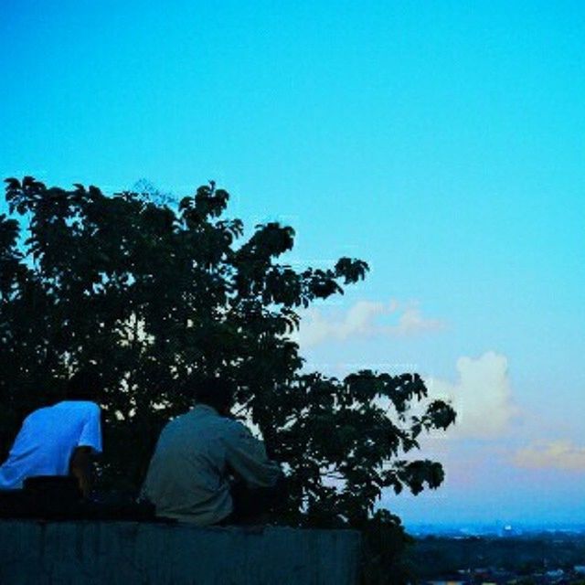 blue, tree, lifestyles, leisure activity, clear sky, men, sky, copy space, rear view, standing, person, nature, outdoors, tranquility, casual clothing, beauty in nature, sitting