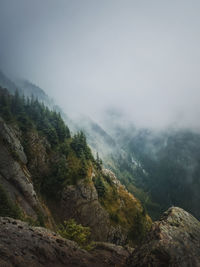 Idyllic view to the foggy valley from the top of the mountain. dense mist clouds above carpathians