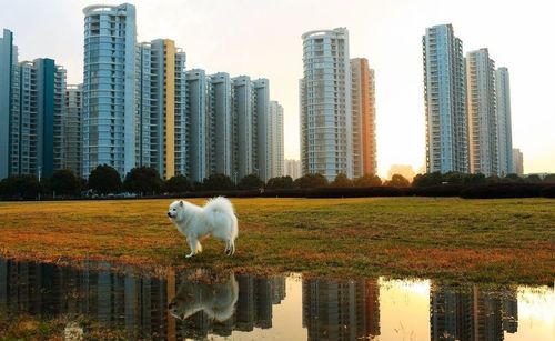 View of cityscape