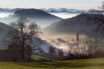 Trees on field by mountains against sky