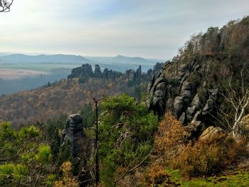 Scenic view of forest against sky