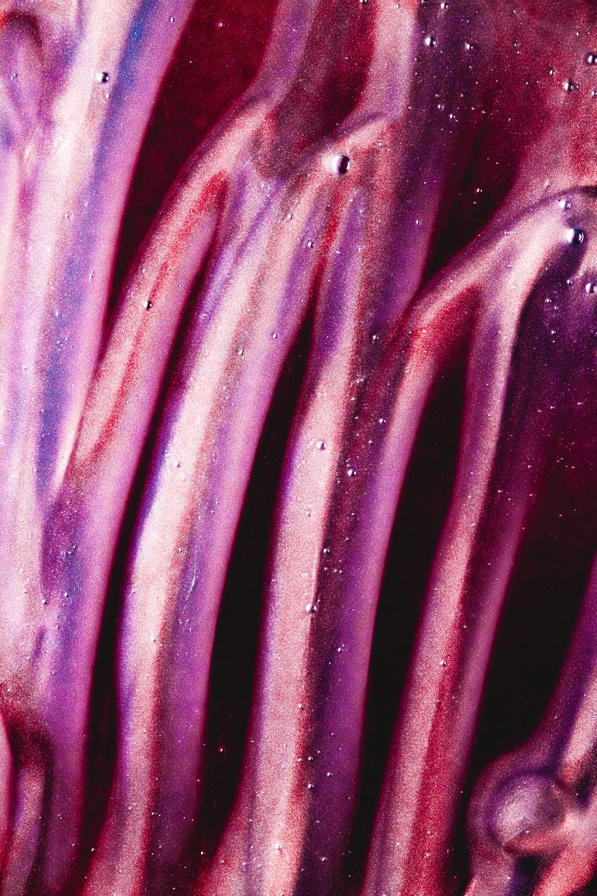 FULL FRAME SHOT OF PINK FLOWER