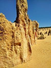 Low angle view of person standing on rock