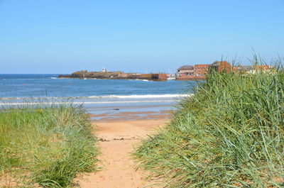 Scenic view of beach against clear sky