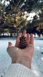 Close-up of hand holding ice cream cone