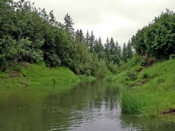 Scenic view of lake in forest against sky