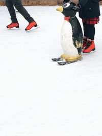 Low section of people in snow