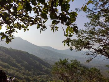 Scenic view of tree mountains against sky