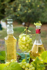 Fruits on glass bottle against plants