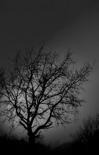 Low angle view of silhouette bare tree against clear sky