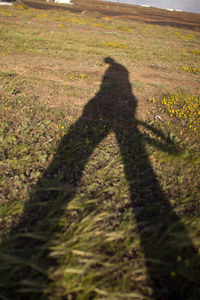 Shadow of man on field