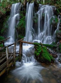 Scenic view of waterfall in forest