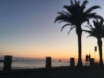 Close-up of silhouette palm tree against sunset sky