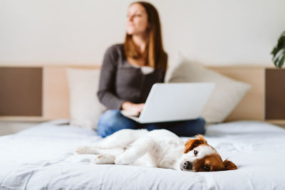Dog with woman using laptop on bed in background