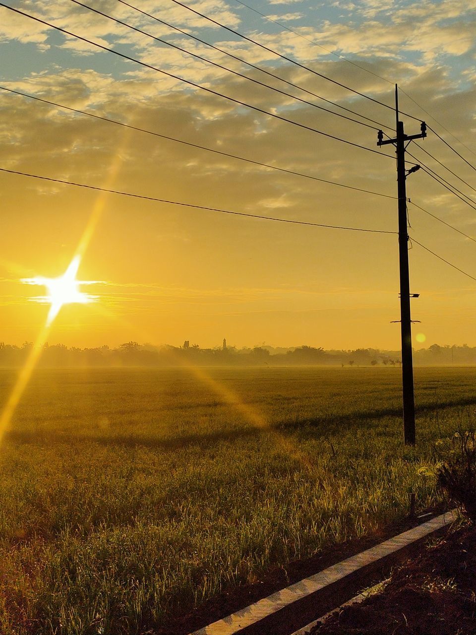 SCENIC VIEW OF SUNSET OVER FIELD