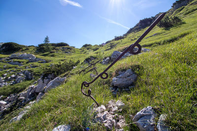 Scenic view of green landscape