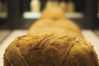 Close-up rear view of mummy 