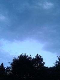 Low angle view of trees against blue sky