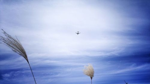 Low angle view of airplane flying against cloudy sky