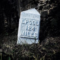 Close-up of cemetery on rock