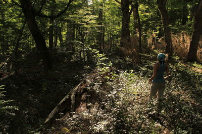 Rear view of person photographing in forest