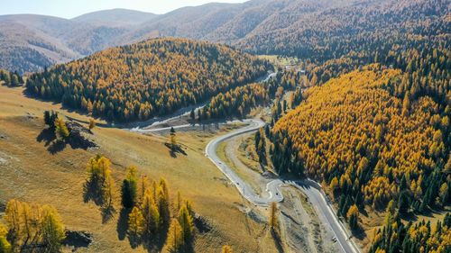 High angle view of road amidst trees in forest