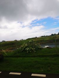 Scenic view of landscape against sky