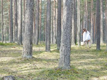 Woman standing by tree trunk in forest