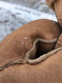 Close-up of lizard on sand