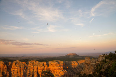 View of birds flying over landscape against cloudy sky