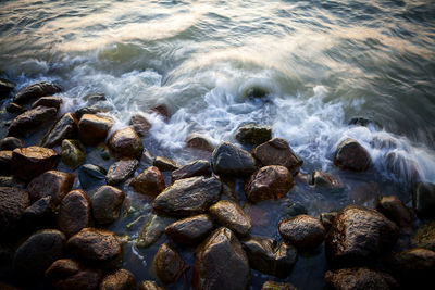 Pebbles on beach