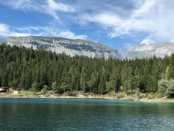 Scenic view of lake by trees against sky